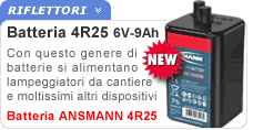 Ansmann 4R25